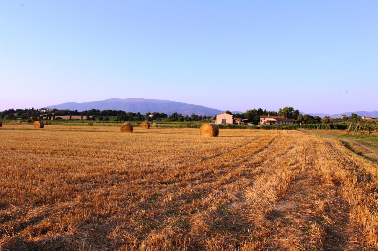 Le Case Bevagna Exteriér fotografie